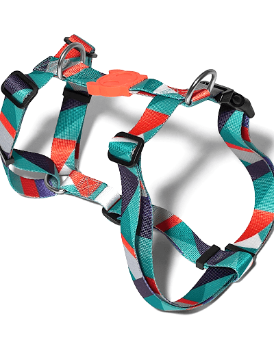ELLA H-HARNESS