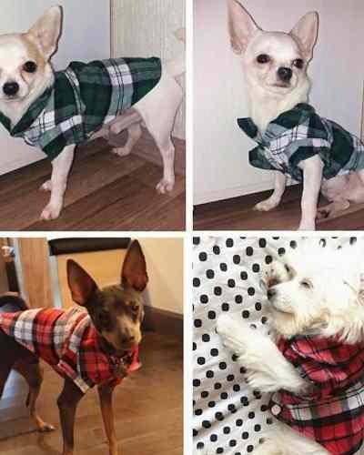 Camisa a cuadros