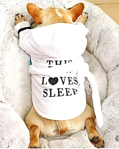 Pijama para perros
