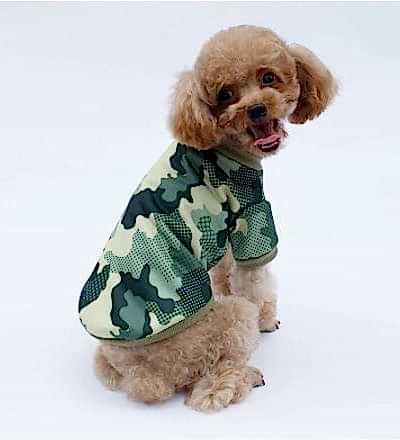 Camiseta de verano