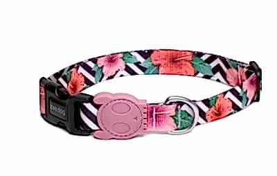 Mahalo ZeeDog Collar