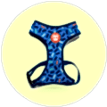 arnés