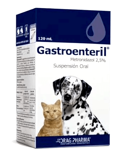 gastroenteril